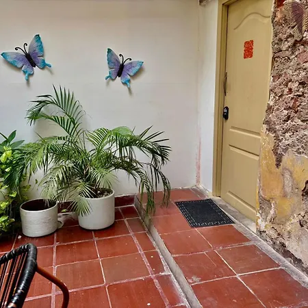 Casa Centro Historico *